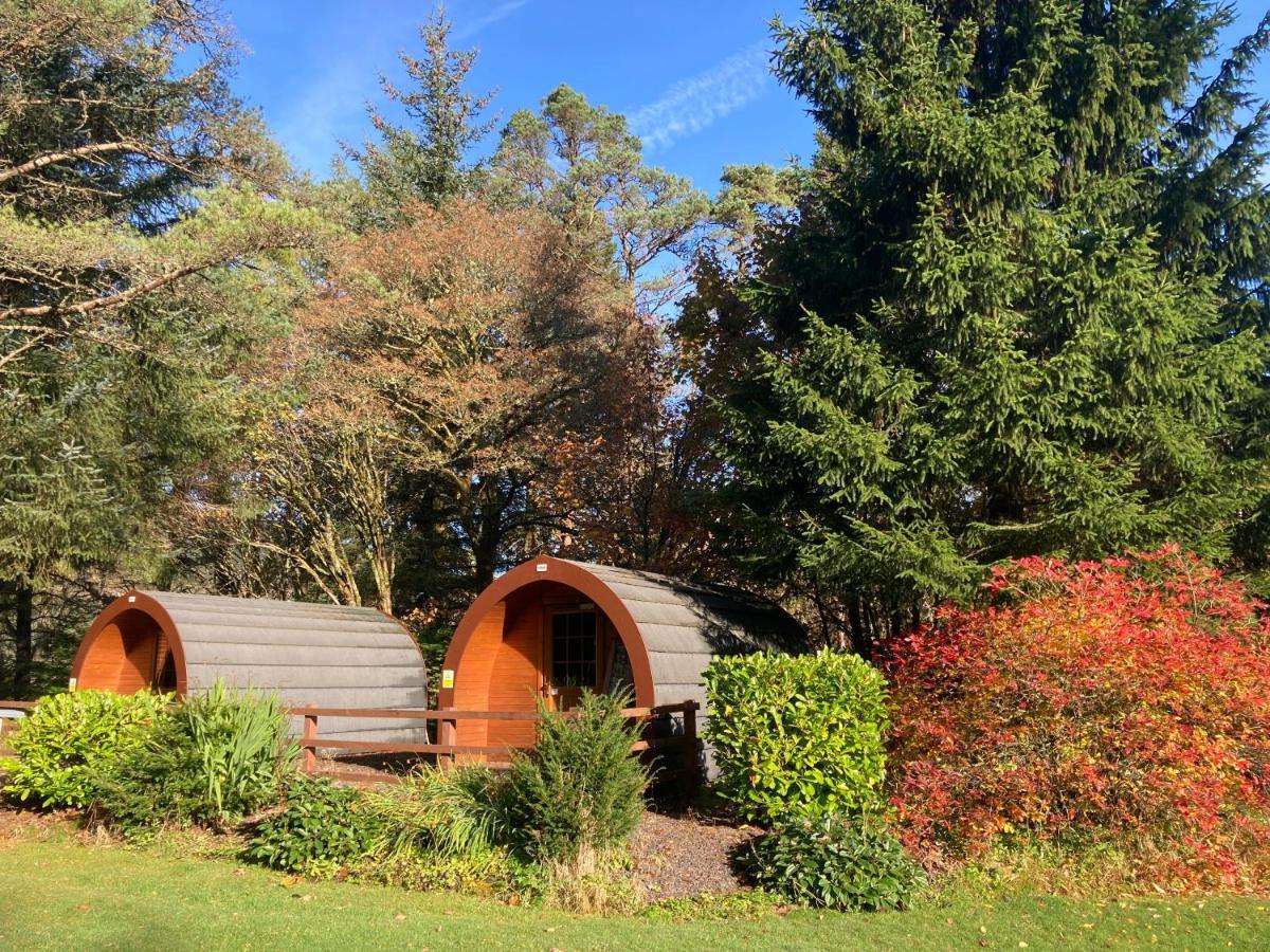 Glamping Hut - By The Way Campsite Tyndrum Extérieur photo